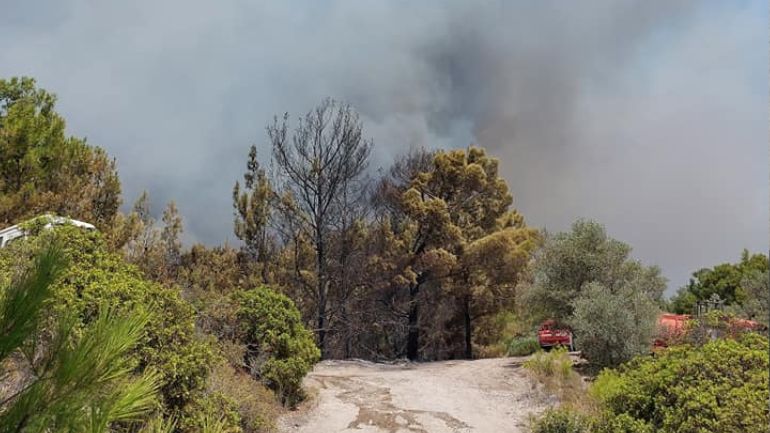 Ανεξέλεγκτη η φωτιά στη Ρόδο – Εκκενώθηκαν τρία χωριά και ένα ξενοδοχείο