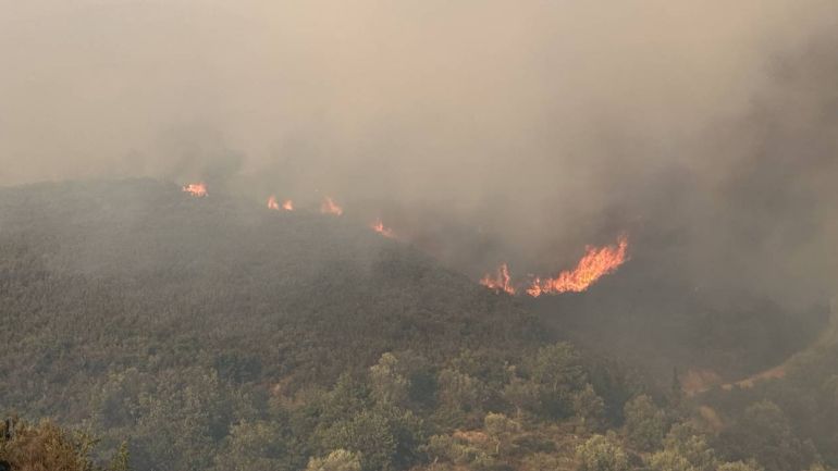Σε εξέλιξη πυρκαγιά στο Πυρί Λακωνίας – Μάχη να μην φτάσει η φωτιά σε κατοικημένες περιοχές