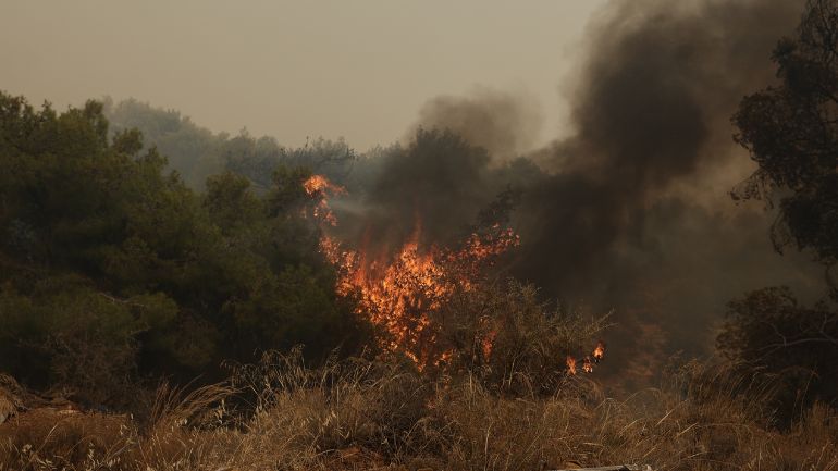Υπο έλεγχο η φωτιά στο Αχλαδοχώρι Πέλλας