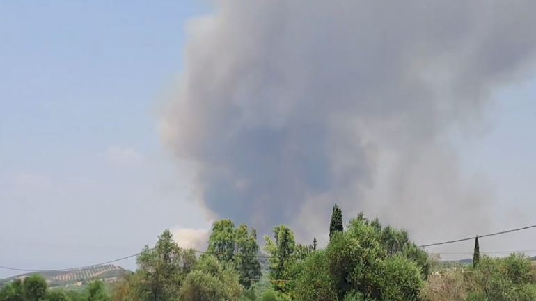 Συναγερμός για πυρκαγιά στην περιοχή Πυρί Σπάρτης