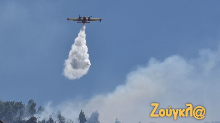 Δερβενοχώρια: Mάχη για να μην περάσει η πυρκαγιά στον Εθνικό Δρυμό της Πάρνηθας