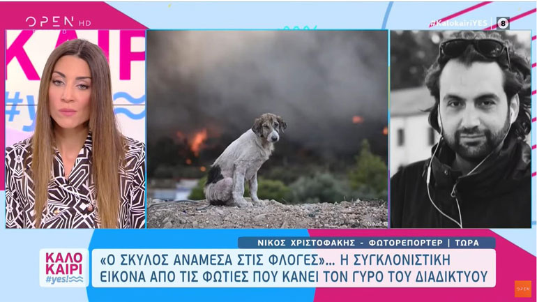 Viral η φωτογραφία με τον θλιμμένο σκύλο που τράβηξε ο φωτορεπόρτερ του Zougla.gr, Νίκος Χριστοφάκης
