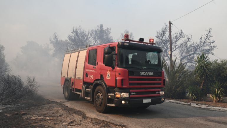 Τρόμος στο Βερολίνο: Λέαινα κυκλοφορεί ελεύθερη – Έκκληση στους κατοίκους να μην βγουν από τα σπίτια τους