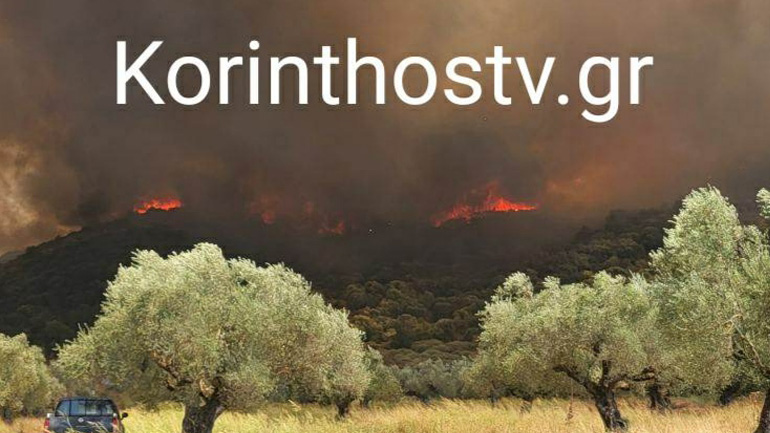 Σε ύφεση η φωτιά στη Λακωνία – Υπάρχουν μικρές εστίες που σβήνουν πεζοπόρα τμήματα