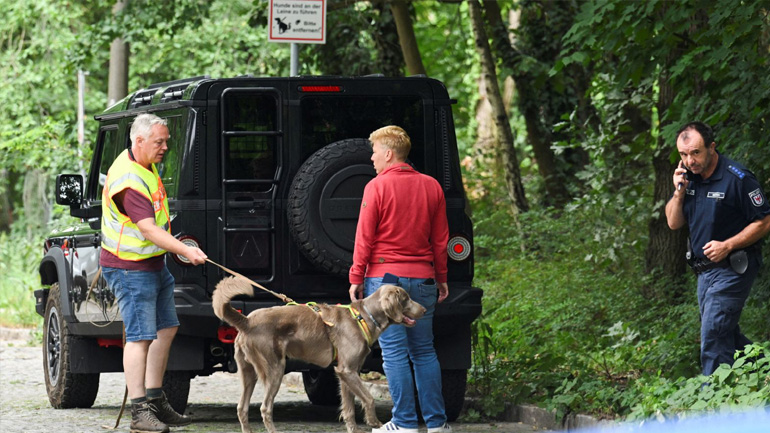 Συναγερμός στο Βερολίνο από λιοντάρι που εθεάθη να «κόβει βόλτες»