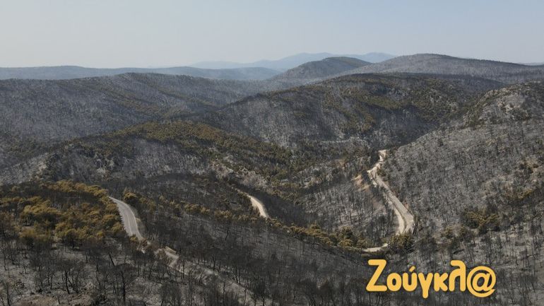 Πυρκαγιές: Οδοιπορικό της «Ζούγκλας» στα Δερβενοχώρια