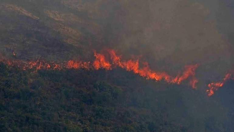 Η συνδρομή της Αστυνομίας στην κατάσβεση των πυρκαγιών