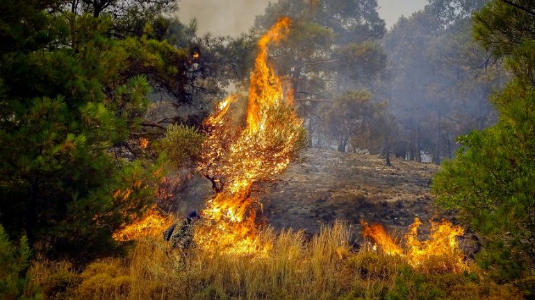 Οριοθετήθηκε η φωτιά στον Προφήτη Θεσσαλονίκης- Έκλεισε η Εγνατία Οδός