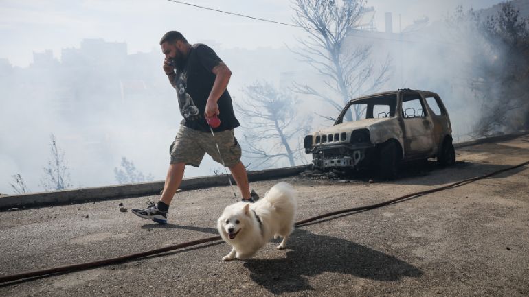 Πυρκαγιές: Πώς διασώθηκαν πυρόπληκτα ζώα και ποιοι έχουν αναλάβει τη φροντίδα τους