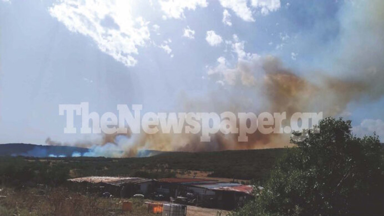 Υπό έλεγχο η φωτιά στις Γλαφυρές Βόλου