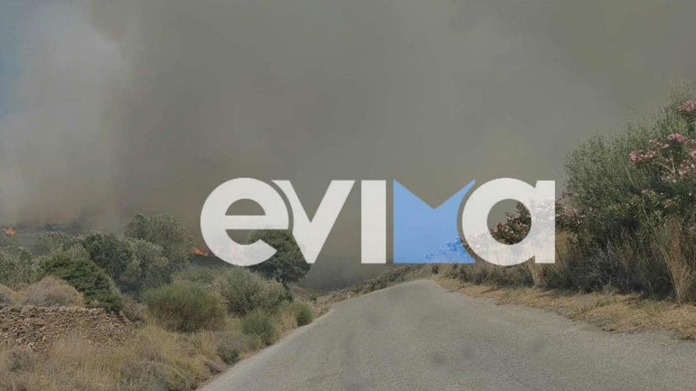 Φωτιά στην Εύβοια: Γλίτωσαν τελευταία στιγμή 30 άτομα σε παραλία