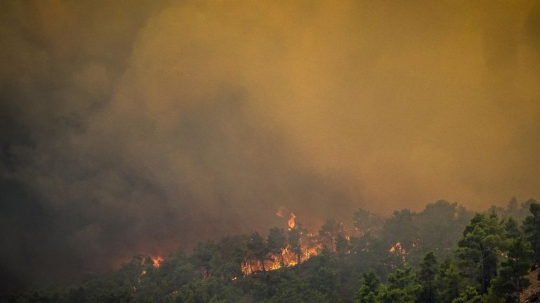 Δύο πύρινα μέτωπα στην Κάρυστο – Εκκενώθηκαν 4 οικισμοί – Τι δήλωσε στο zougla.gr o δήμαρχος κ. Ραβιόλος
