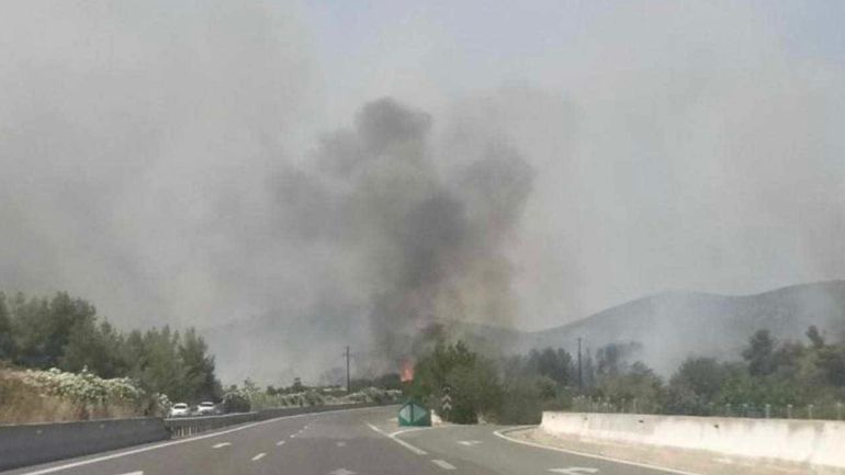 Πυρκαγιά στην Υλίκη Βοιωτίας – Οι φλόγες φτάνουν στην εθνική οδό Αθηνών – Λαμίας