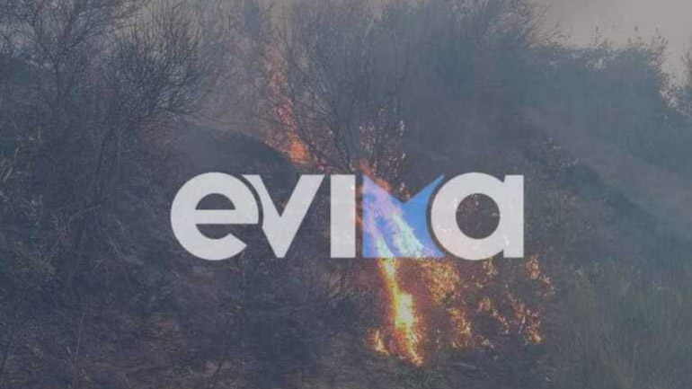 Κάρυστος: Νέο μέτωπο στον Πλατανιστό – Μήνυμα του 112 για εκκένωση του Πλατύ Γιαλού