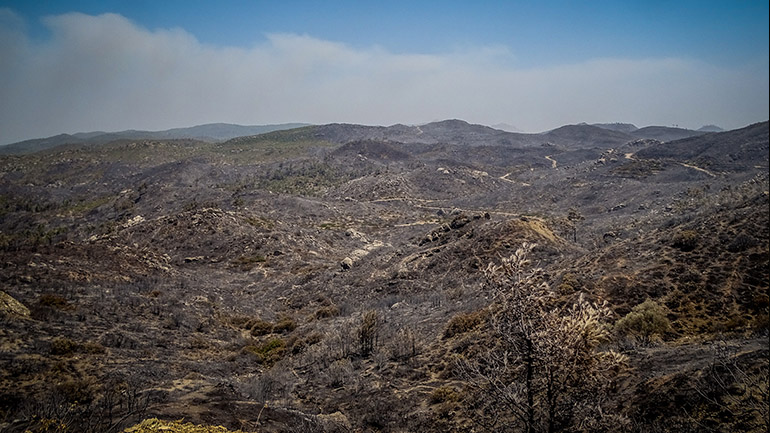 Ρόδος: Μήνυση για εμπρησμό των δασών του νησιού από πρόθεση θα υποβάλλει ο δήμαρχος, Αντ. Καμπουράκης