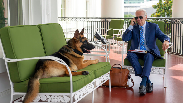 Ο σκύλος του Μπάιντεν… δαγκώνει – Έστειλε άνδρα της  Μυστικής Υπηρεσίας στο νοσοκομείο