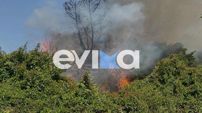 Υπό μερικό έλεγχο η πυρκαγιά στην Κύμη Ευβοίας