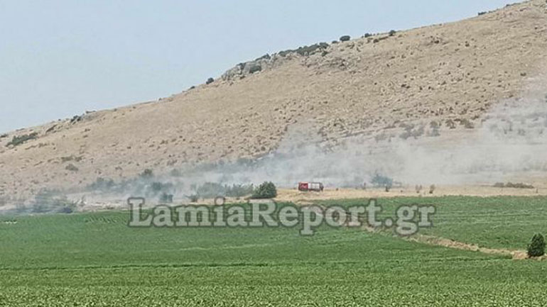 Φωτιά στο Δομοκό Φθιώτιδας