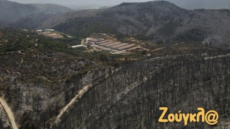 Συνελήφθη 62χρονος για πρόκληση πυρκαγιάς από αμέλεια στο Παλαιοχώρι Μάνδρας