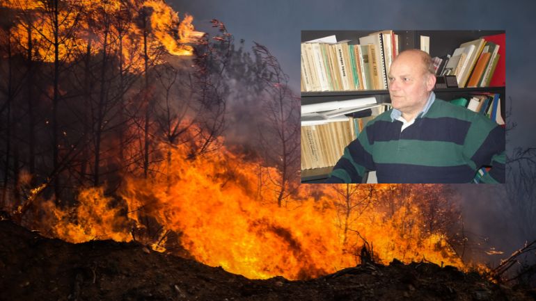 Δείτε τι δημοσίευε πριν 11 χρόνια η «Ζούγκλα» για τις φωτιές