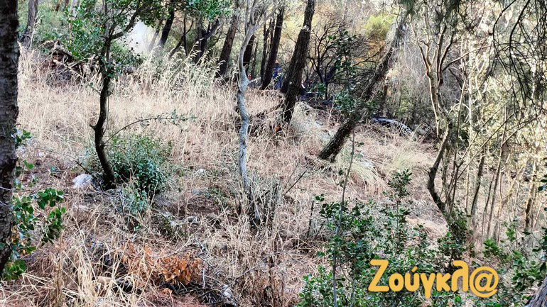 Φωτιά στην Κηφισιά – Υπό έλεγχο το μέτωπο