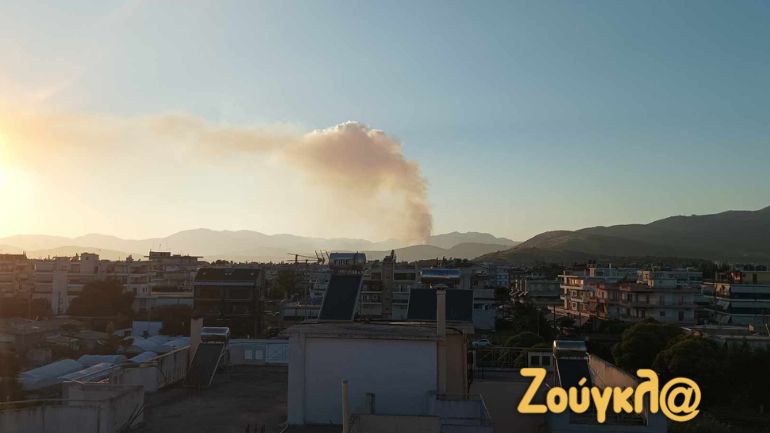 Πυρκαγιά στην Παντάνασσα Φιλιππιάδας