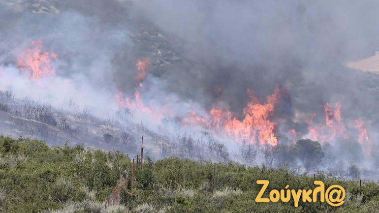 Σε ύφεση η πυρκαγιά στο Βελεστίνο