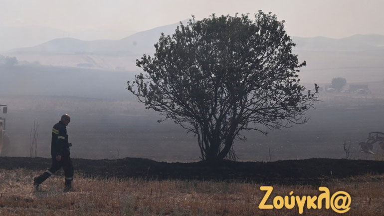 Δεν υπάρχουν ενεργά μέτωπα στη Μαγνησία – Φόβοι για αναζωπυρώσεις – Πόσα στρέμματα γης κάηκαν