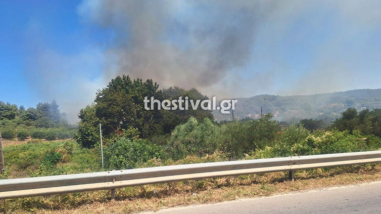 Υπό μερικό έλεγχο η φωτιά σε χορτολιβαδική έκταση στη Χαλκιδική