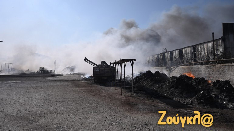 Συνολικά 50.000 ελαιόδεντρα και 2.500 παραγωγικά ζώα «χάθηκαν» από τη φωτιά στη Ρόδο