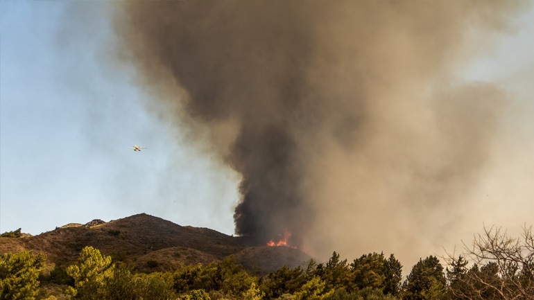 Οικολόγοι Πράσινοι: Ελλάδα και Μεσόγειος φλέγονται