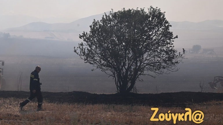 Μαγνησία: Εισαγγελική έρευνα για οργανωμένο σχέδιο εμπρησμών