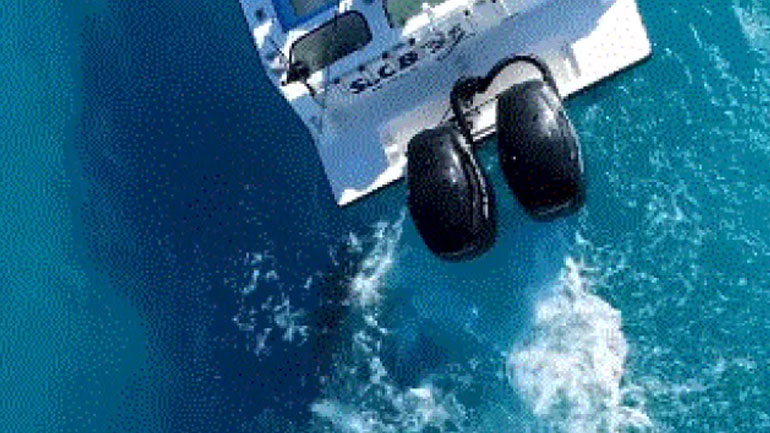 Καρχαρίας επιτέθηκε σε αλιευτικό σκάφος οκτώ φορές