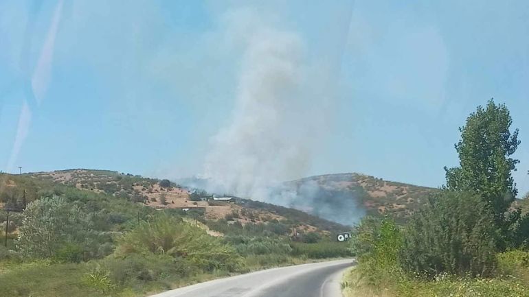 Πυρκαγιά σε δασική έκταση στην περιοχή Προφήτης Ηλίας Πέλλας