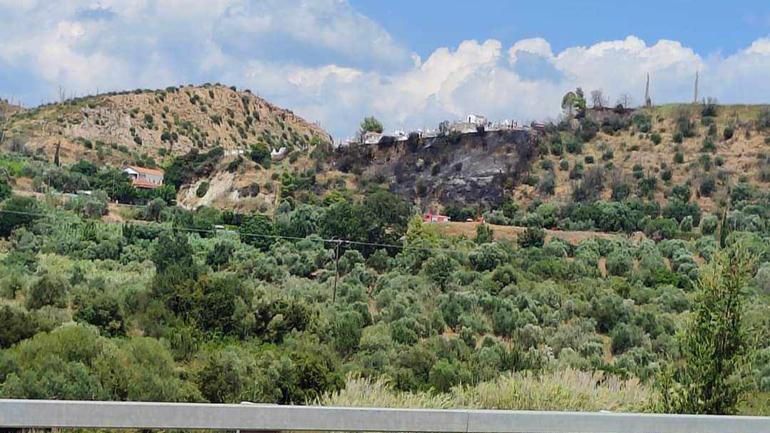 Υπό έλεγχο η πυρκαγιά στον Πλάτανο Ηλείας
