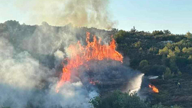 Υπό μερικό έλεγχο η πυρκαγιά στον Βαρνάβα Αττικής