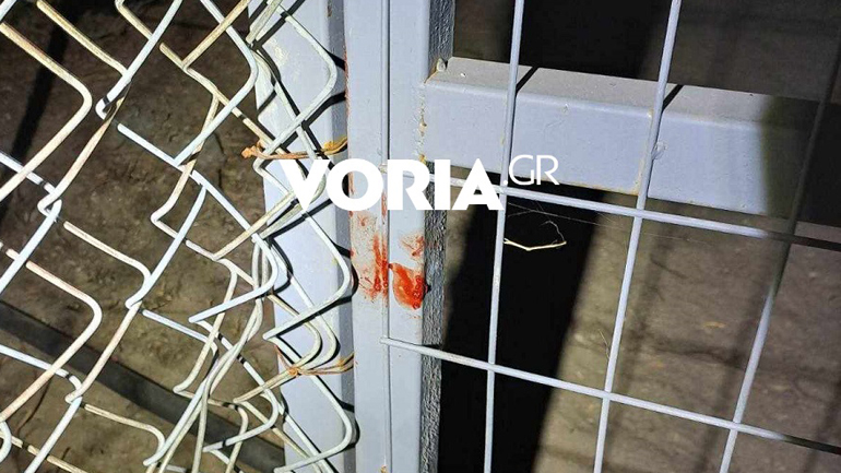 Νύχτα τρόμου για γυναίκα στη Χαλκιδική – Κουκουλοφόρος τη χτύπησε με κοντάκι όπλου στο κεφάλι και τη λήστεψε