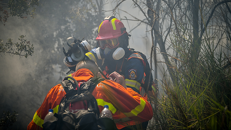 Συνολικά 55 δασικές πυρκαγιές εκδηλώθηκαν το τελευταίο 24ωρο – Υπό μερικό έλεγχο οι εστίες σε Πλάτανο και Στράτο Συνολικά 55 δασικές πυρκαγιές εκδηλώθηκαν το τελευταίο 24ωρο – Υπό μερικό έλεγχο οι εστίες σε Πλάτανο και Στράτο