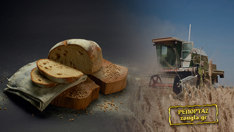 To ψωμί… ψωμάκι!