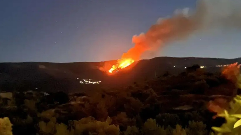 Χίος: Πυρκαγιά σε δασική περιοχή – Μήνυμα του 112 για τα χωριά Διευχά και Κατάβαση