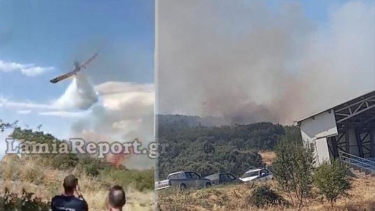 Φθιώτιδα: Πρόλαβαν την πυρκαγιά πάνω από το Παράρτημα ΑμεΑ Δομοκού