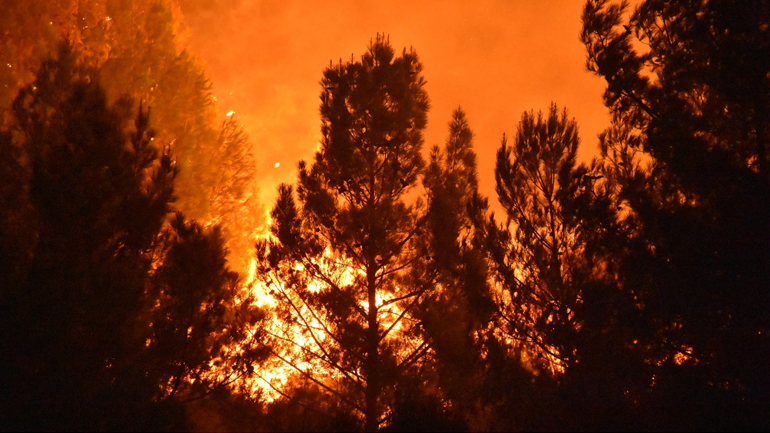 Ολονύχτια μάχη με τις φλόγες στη Χίο Ολονύχτια μάχη με τις φλόγες στη Χίο