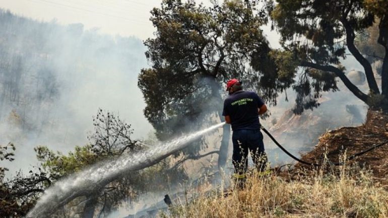 Ηράκλειο: Φωτιά στο δάσος της Κέρης Μαλεβιζίου