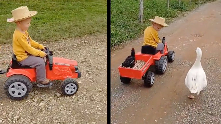 Ο μικρός αγρότης