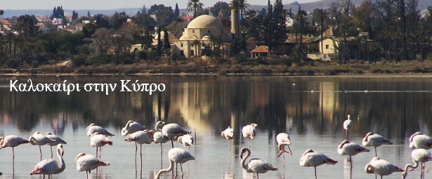 Μουσικό Καλοκαίρι στην Κύπρο | Δείτε το πρόγραμμα της εβδομάδας 26/8 – 1/9