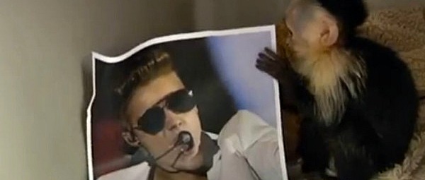 Ο Justin Bieber υποχρέωσε ιδιωτικό jet να περιμένει 8 ώρες για μια μικρή μαϊμού!