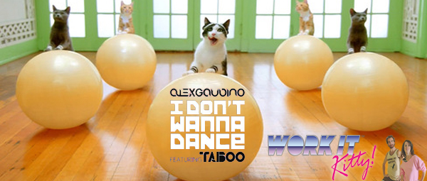 Ο Alex Gaudino παραδίδει μαθήματα γυμναστικής σε… γάτες!