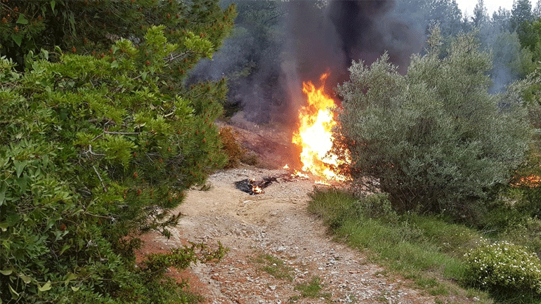 Σουφλί: Δημοπράτηση για εγκατάσταση συστήματος πυρανίχνευσης στο δάσος Δαδιάς-Λευκίμης