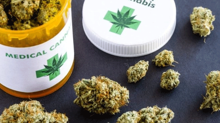 Τις 10 έφτασαν οι χορηγημένες άδειες για καλλιέργεια και επεξεργασία φαρμακευτικής κάνναβης