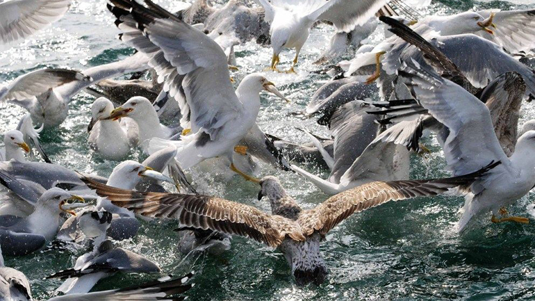 Ελλάδα- Φύση/Τοπία